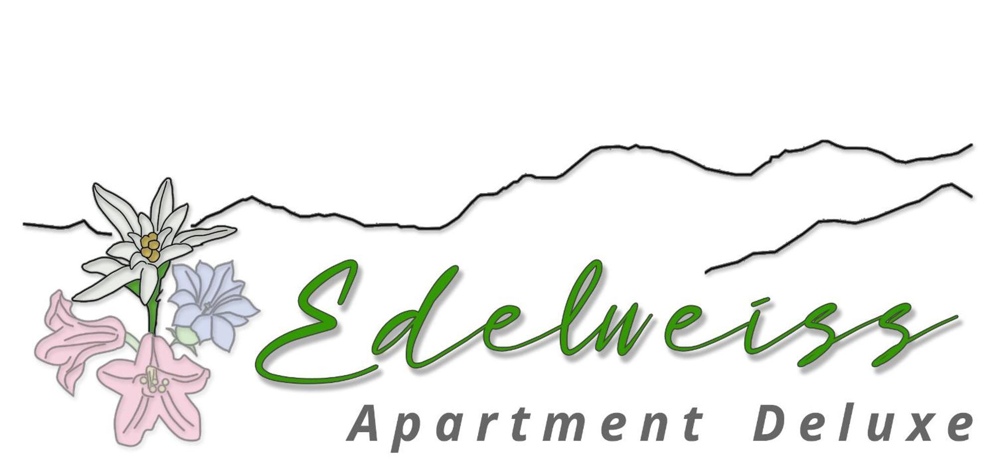 Chalet Wiesengrund Edelweiss 6P 萨斯阿尔马格尔 外观 照片